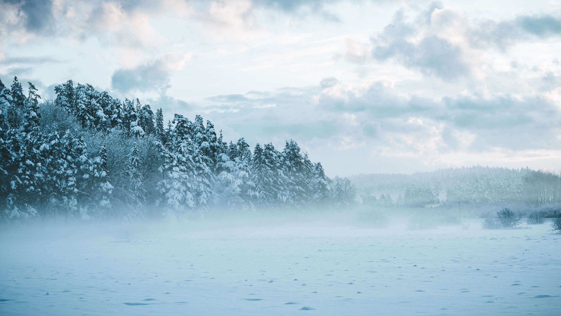 shutterstock_1446304808