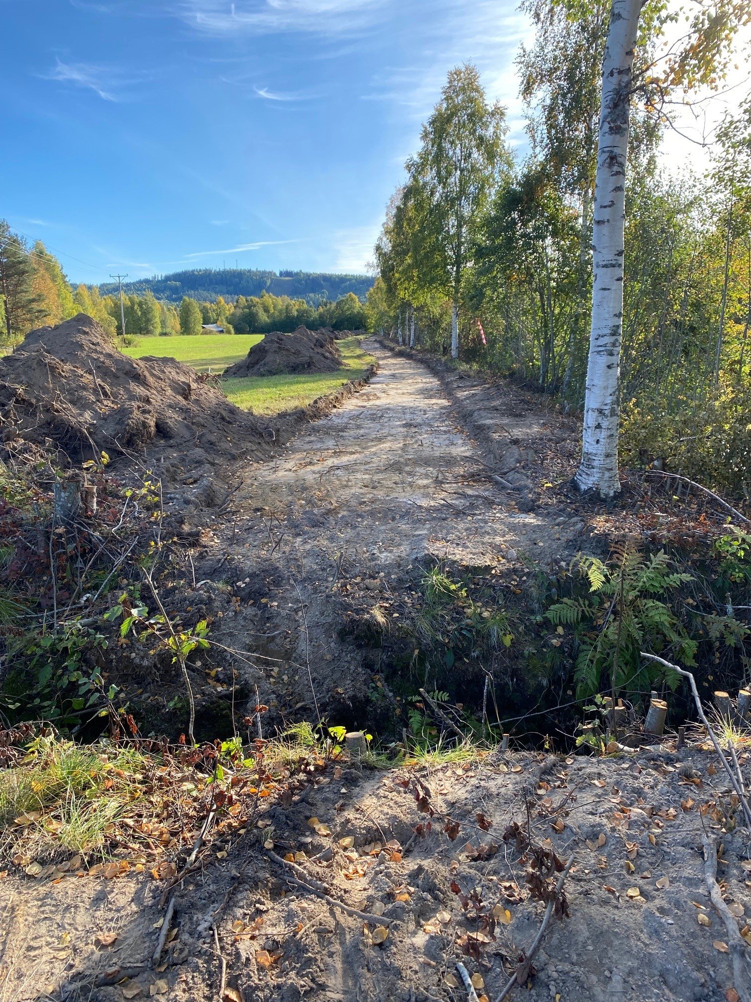 Bäck gångväg 092023_1