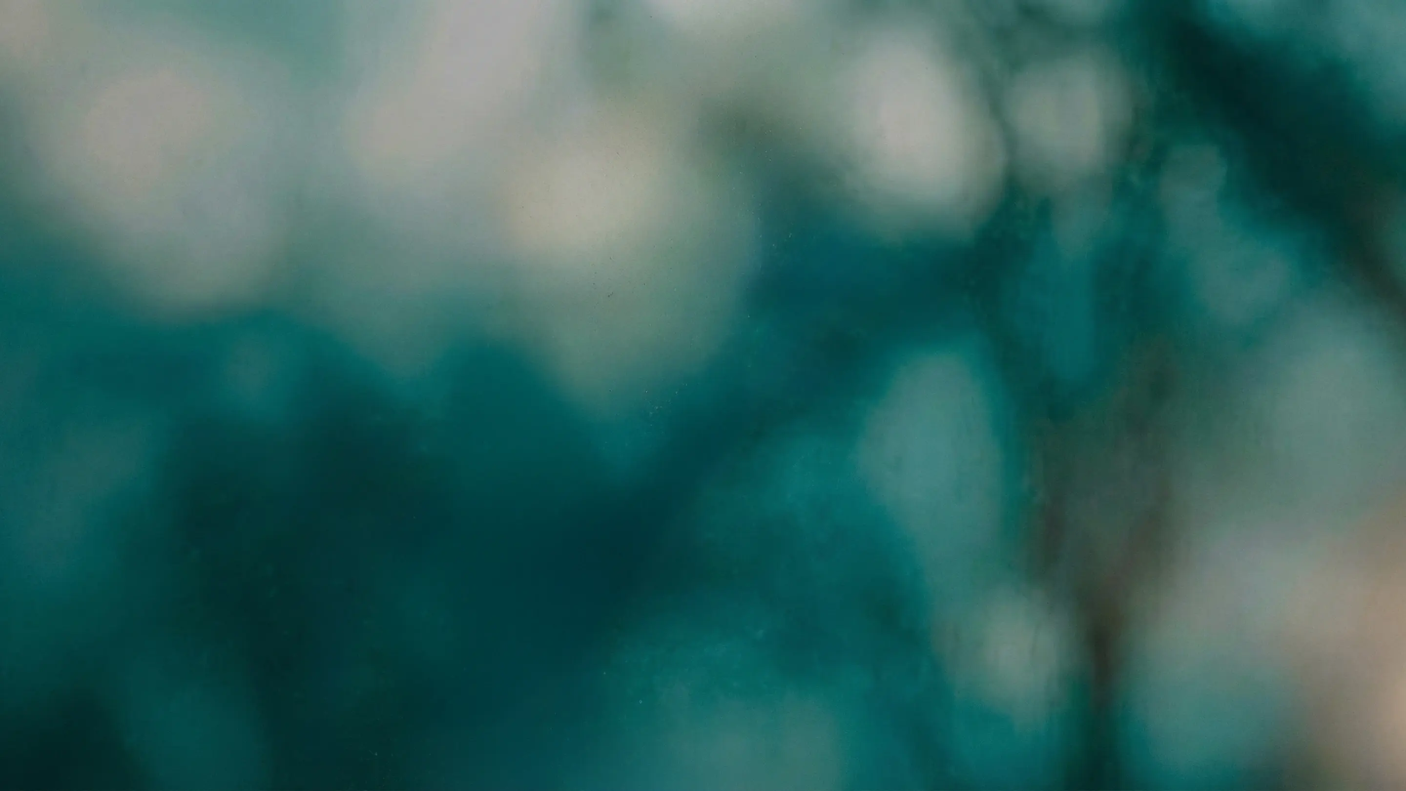 cta-banner-background